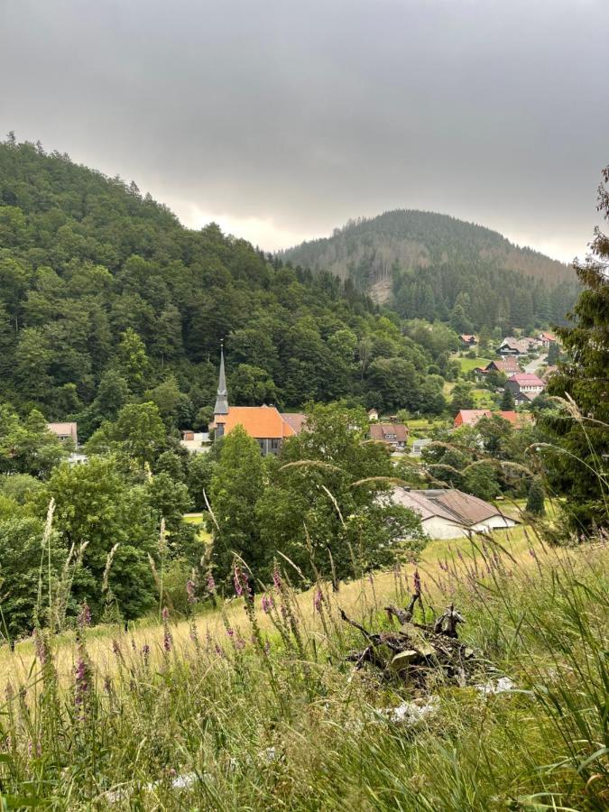 Gemuetliches Apartment Mit Kamin Und Wohnkueche Herzberg am Harz Extérieur photo